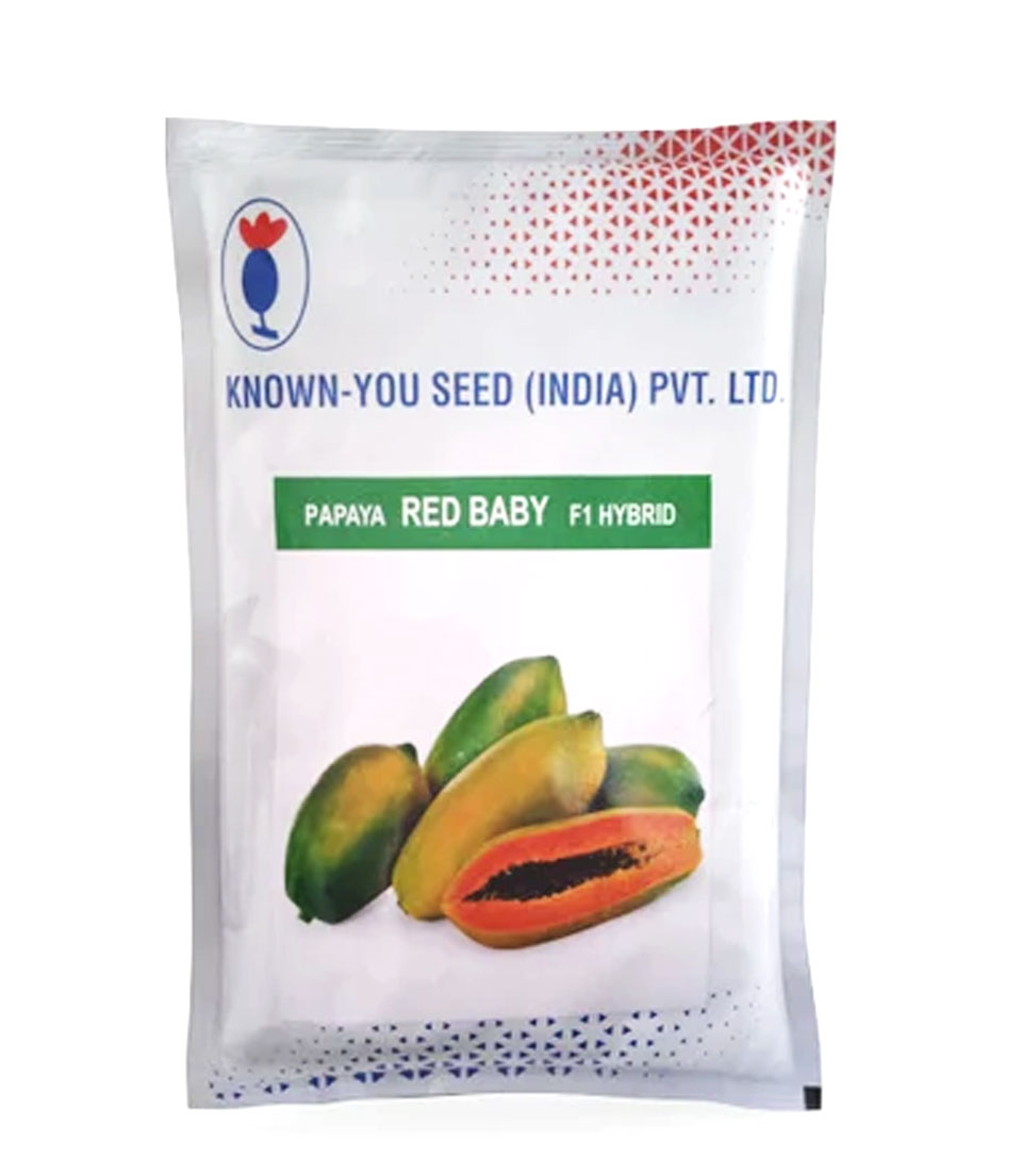 Red Lady Papaya Planting Distance Philippines