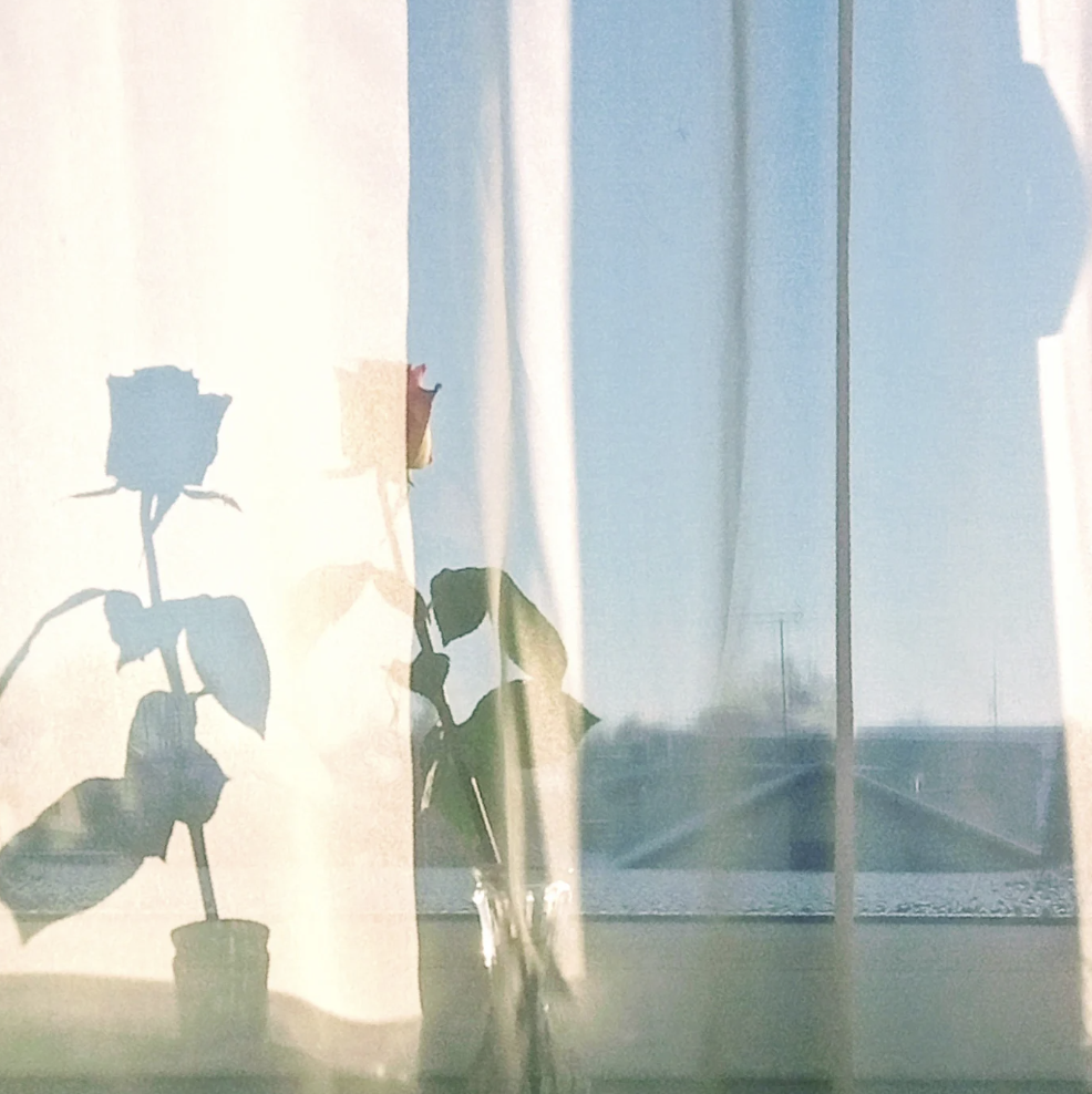 Why natural light is good for your mental health