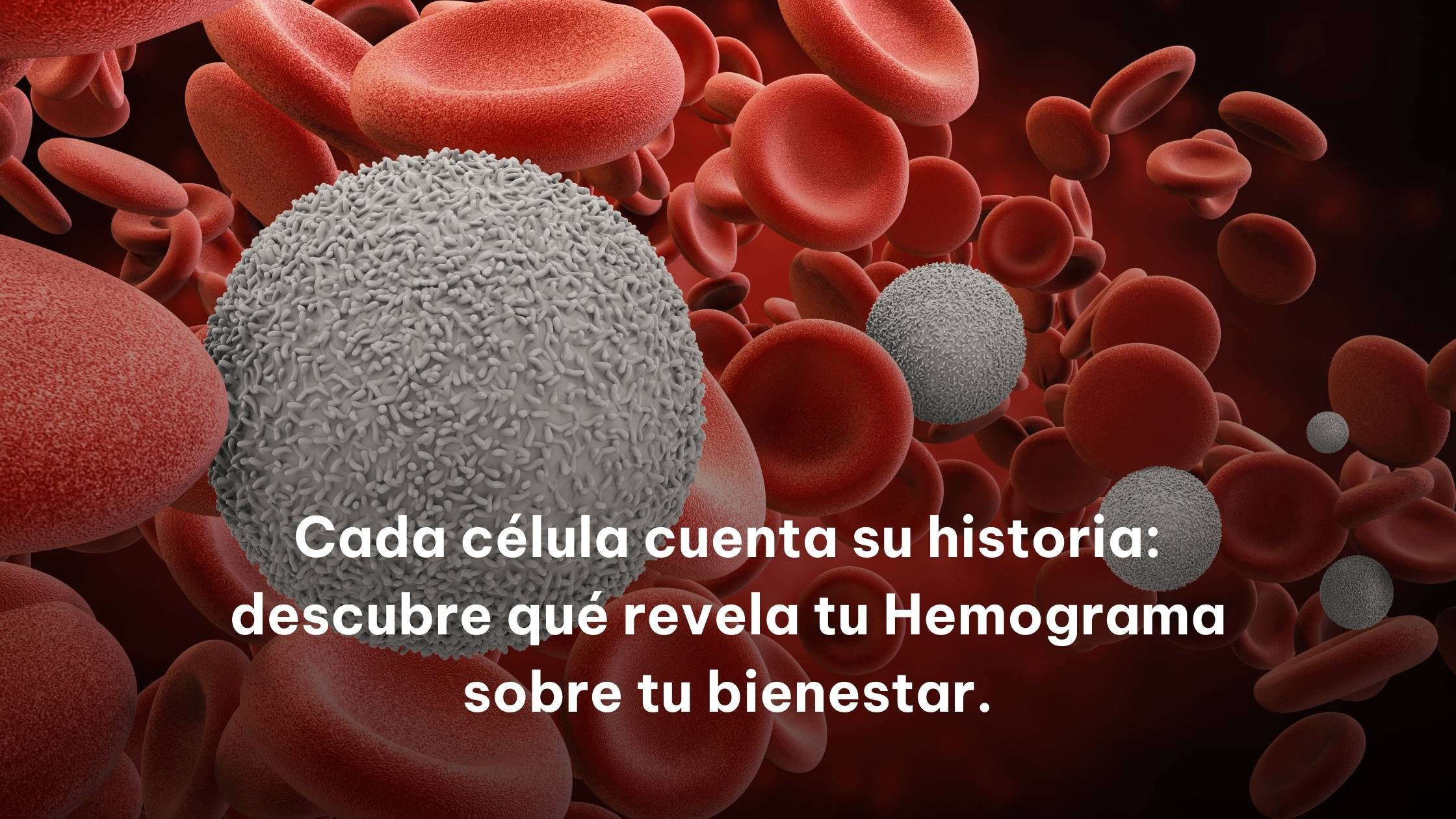 Hemograma Explicada: Lo que Todo Padre Debe Saber