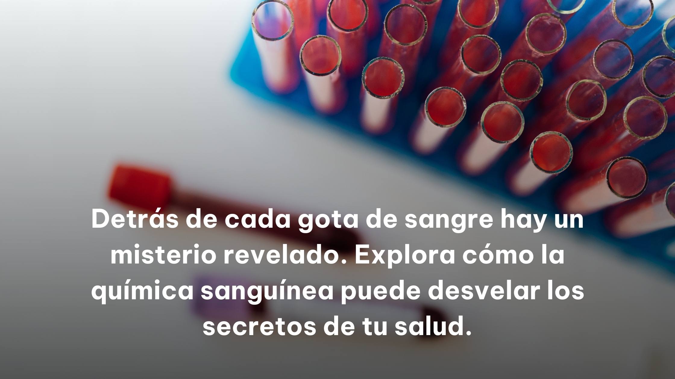 Química Sanguínea: Un Vistazo a Nuestra Salud Interna
