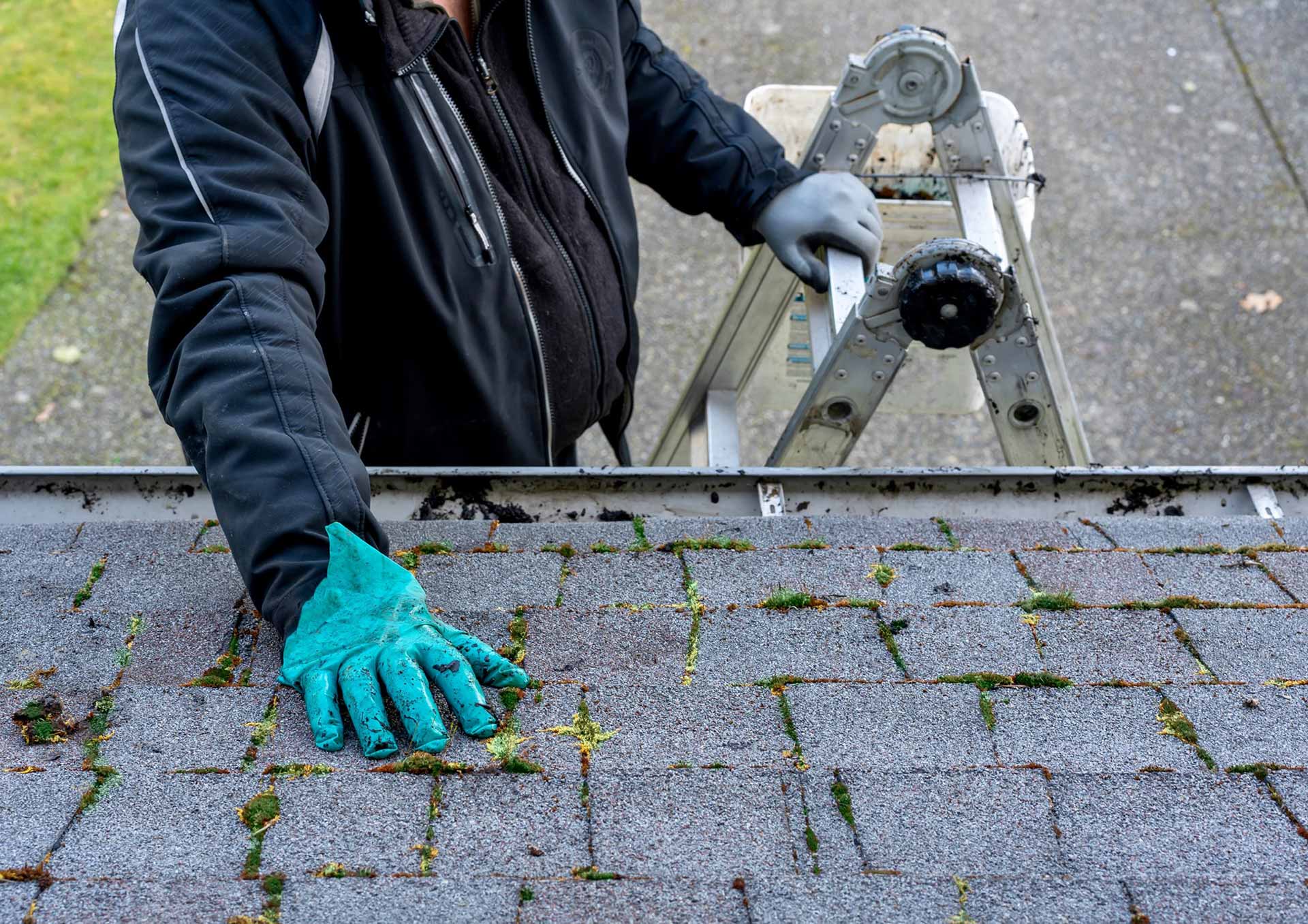 Fall Tips For Homeowners
