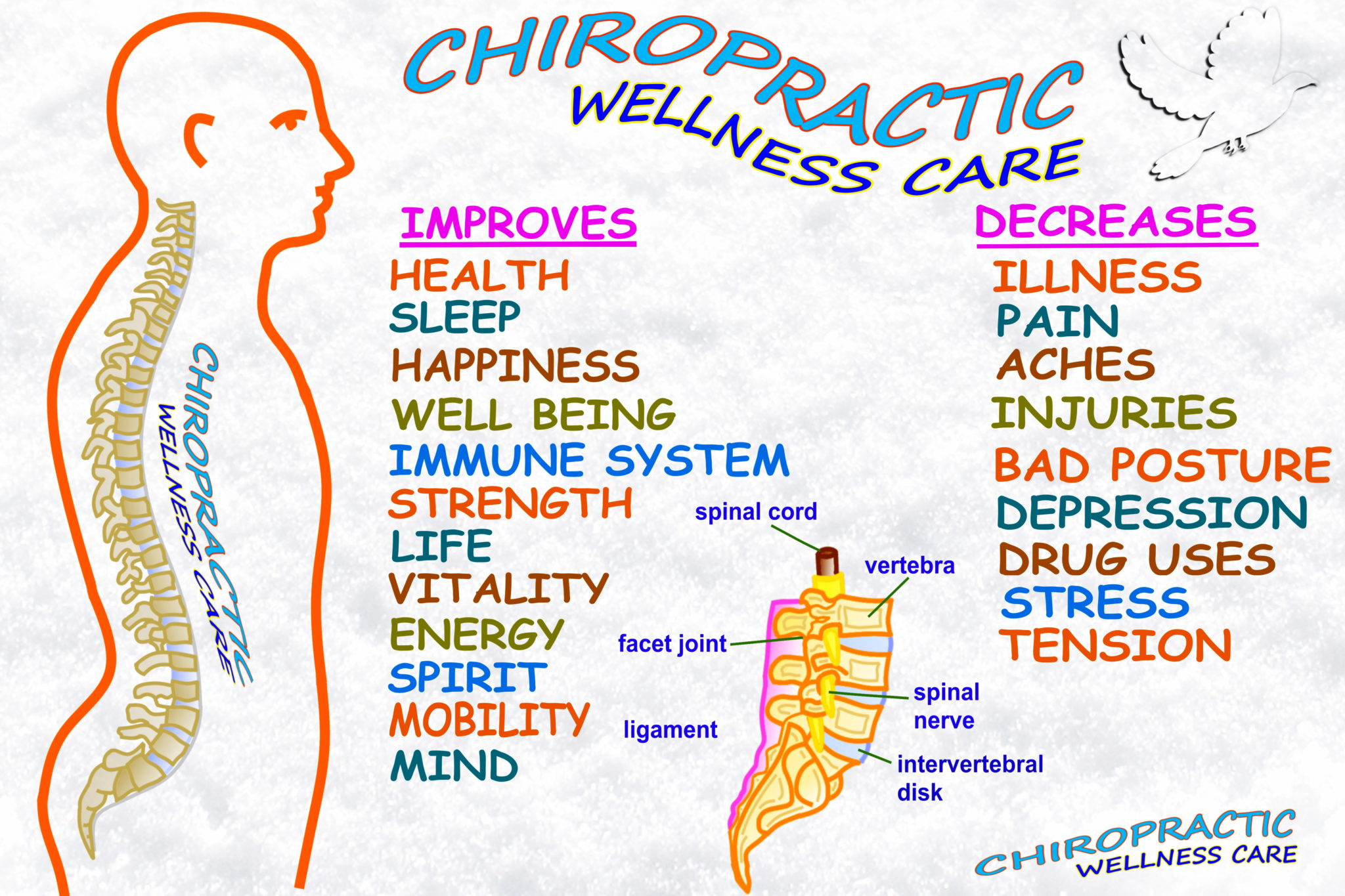 Chiropractic and wellness
