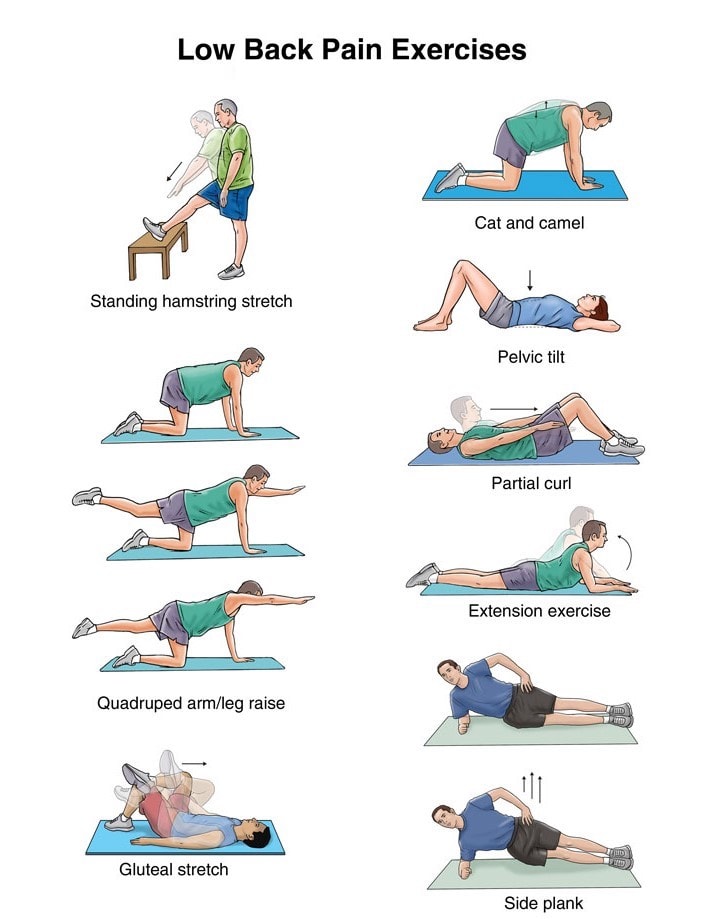 exercise and physical activity for preventing back pain