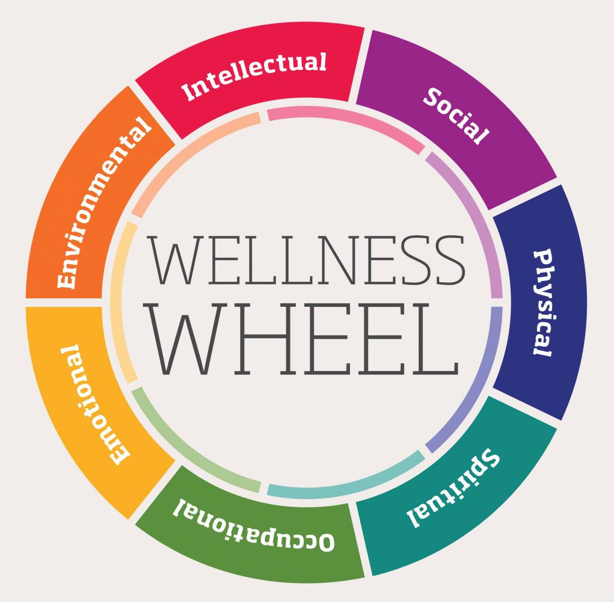 Holistic wellness plan