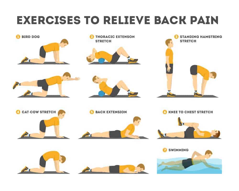 Physiotherapy exercises
