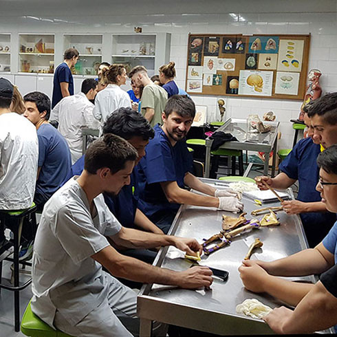 Physiotherapy educational workshops