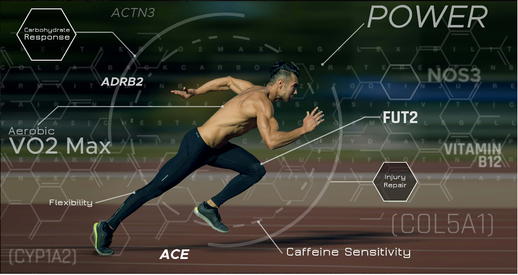 Physio techniques for athletic performance