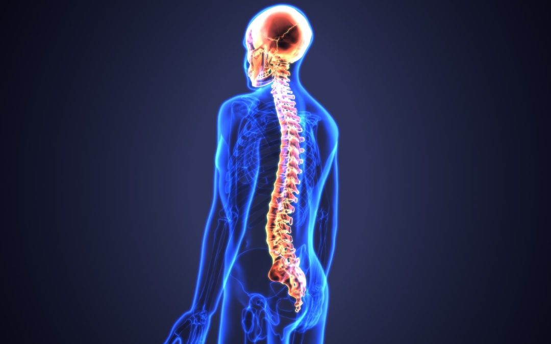 Spinal health and chiropractic care