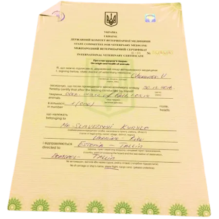 mijnarodnyi_veterinarnyi_certificat