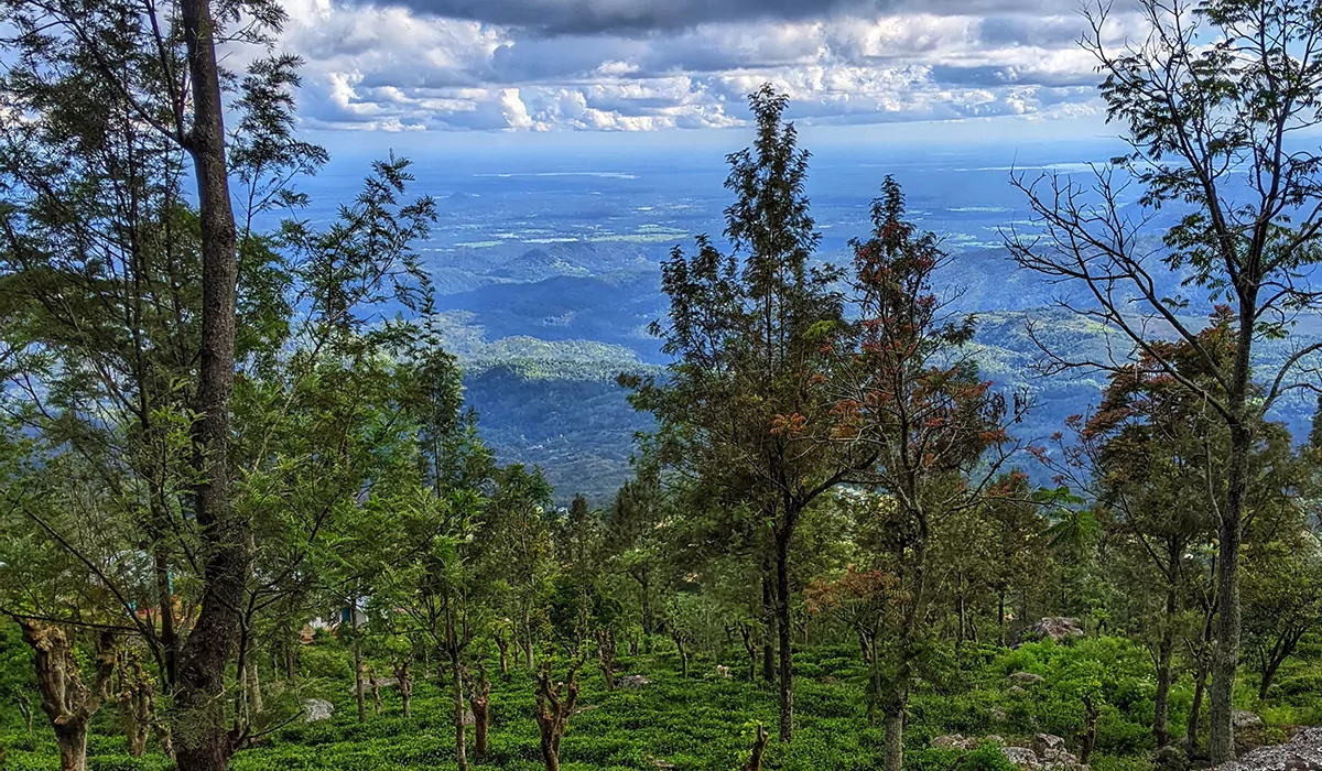 Camping Atop the Misty Hills of Haputale