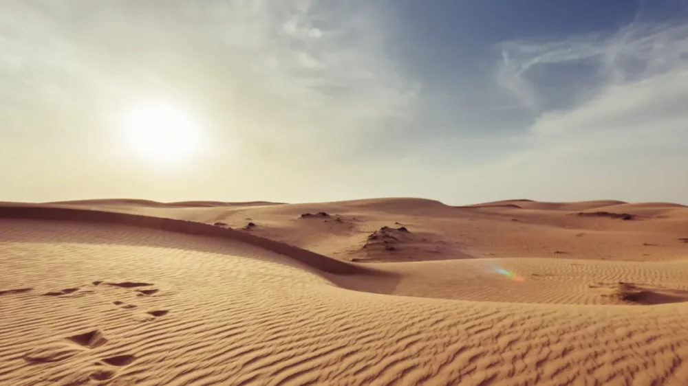 Unique Omani Tech Start-Ups: Innovation Across Hospitality, Legal, and Mental Wellbeing