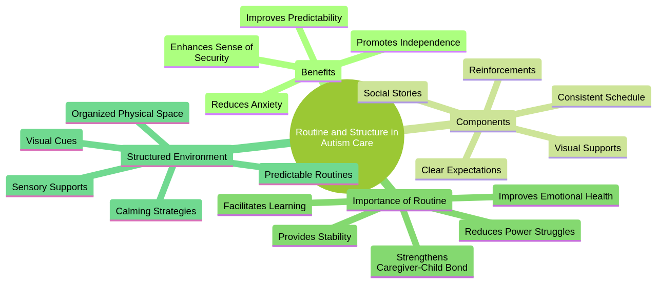 Mind Map of Routine and Structure in Autism Care Mind Map of Routine and Structure in Autism Care