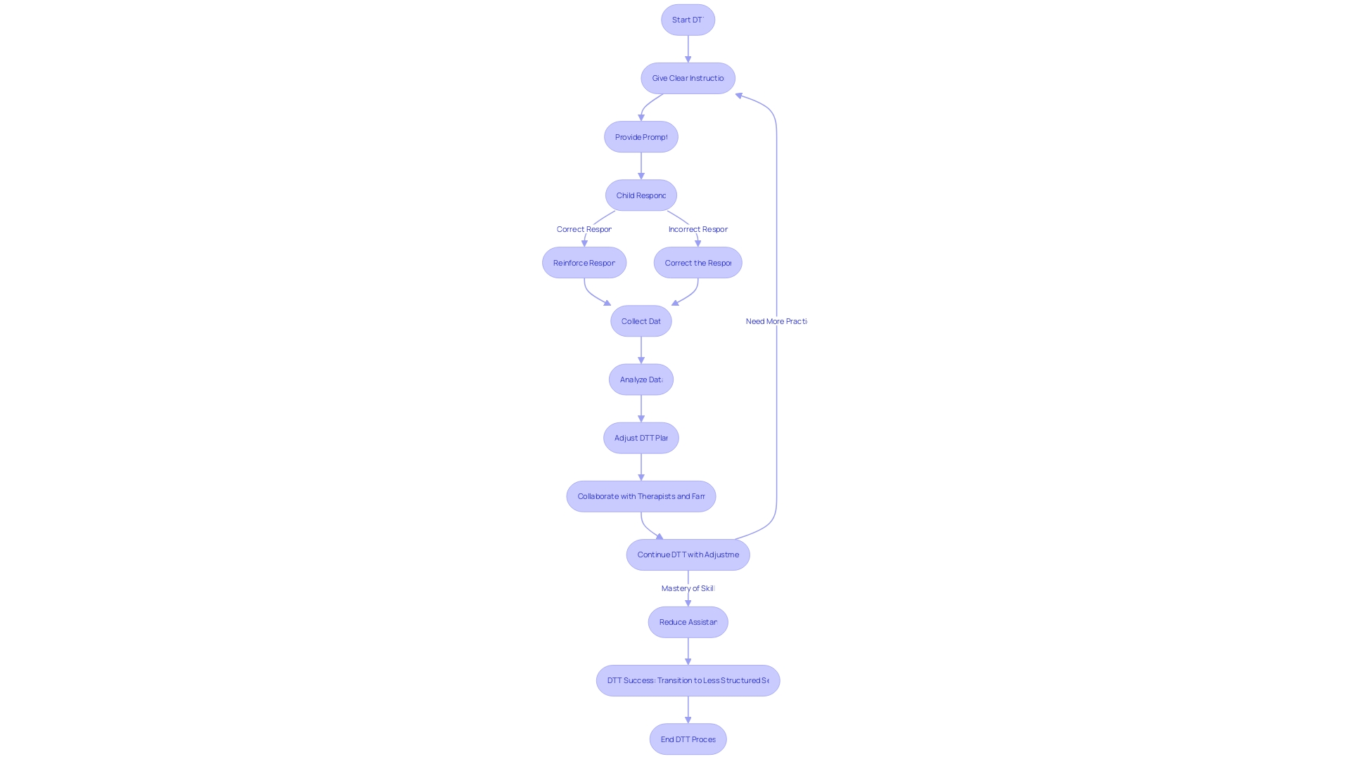 Flowchart of Discrete Trial Training (DTT) Process