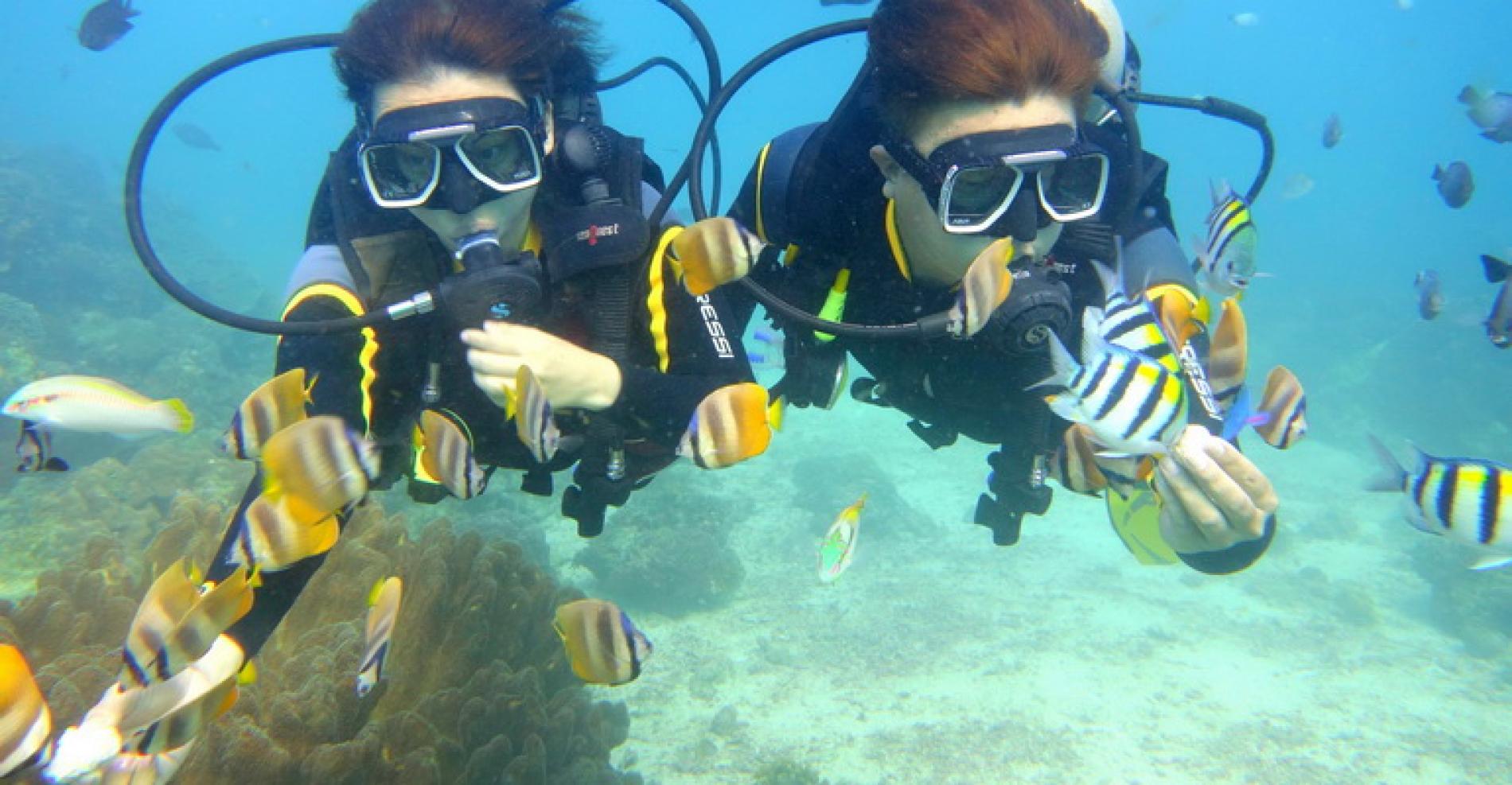 Beginner-Friendly Discover Scuba Diving in Boracay | Philippines - KKday
