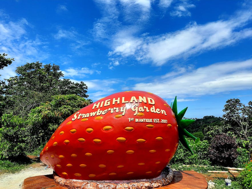 Aningalan Highland Strawberry Garden