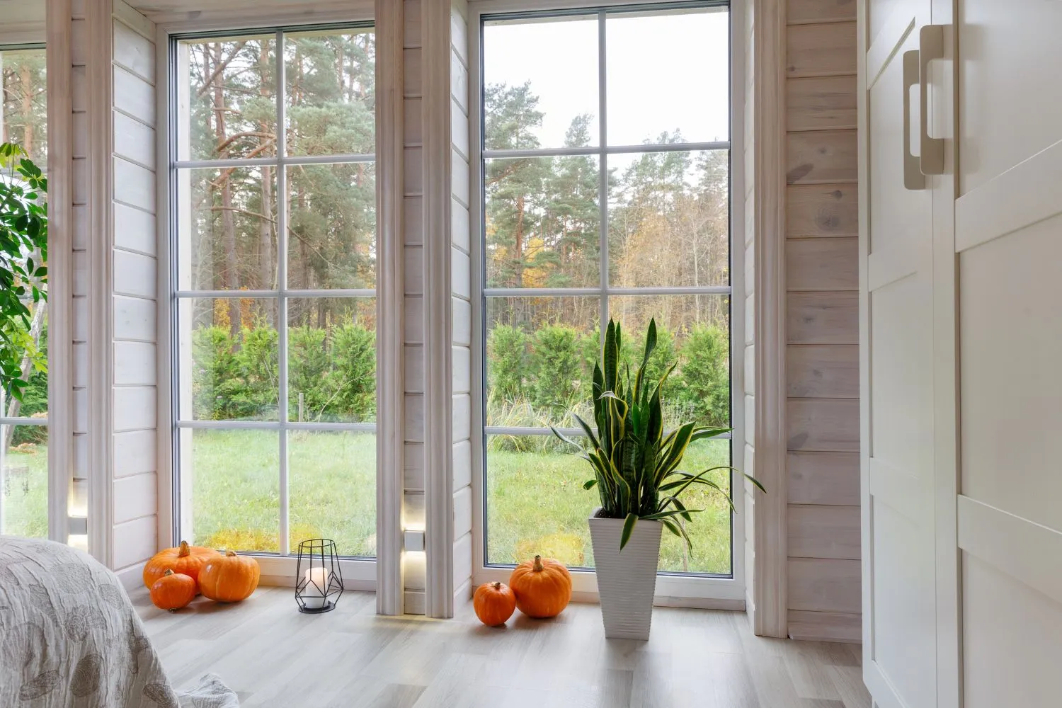 modern home windows