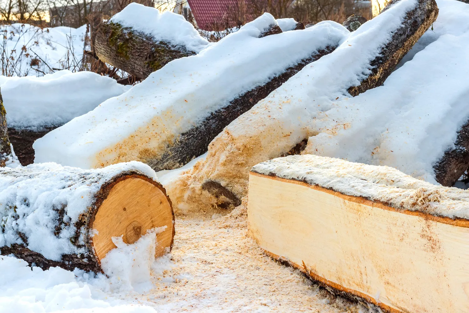moisture resistant wood