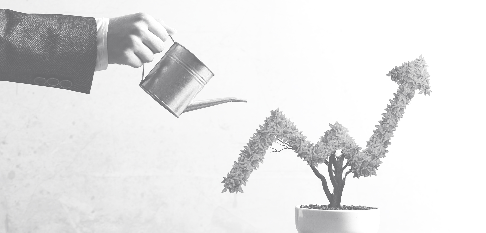 The 4 Best Tips to Grow Your Business in 2024