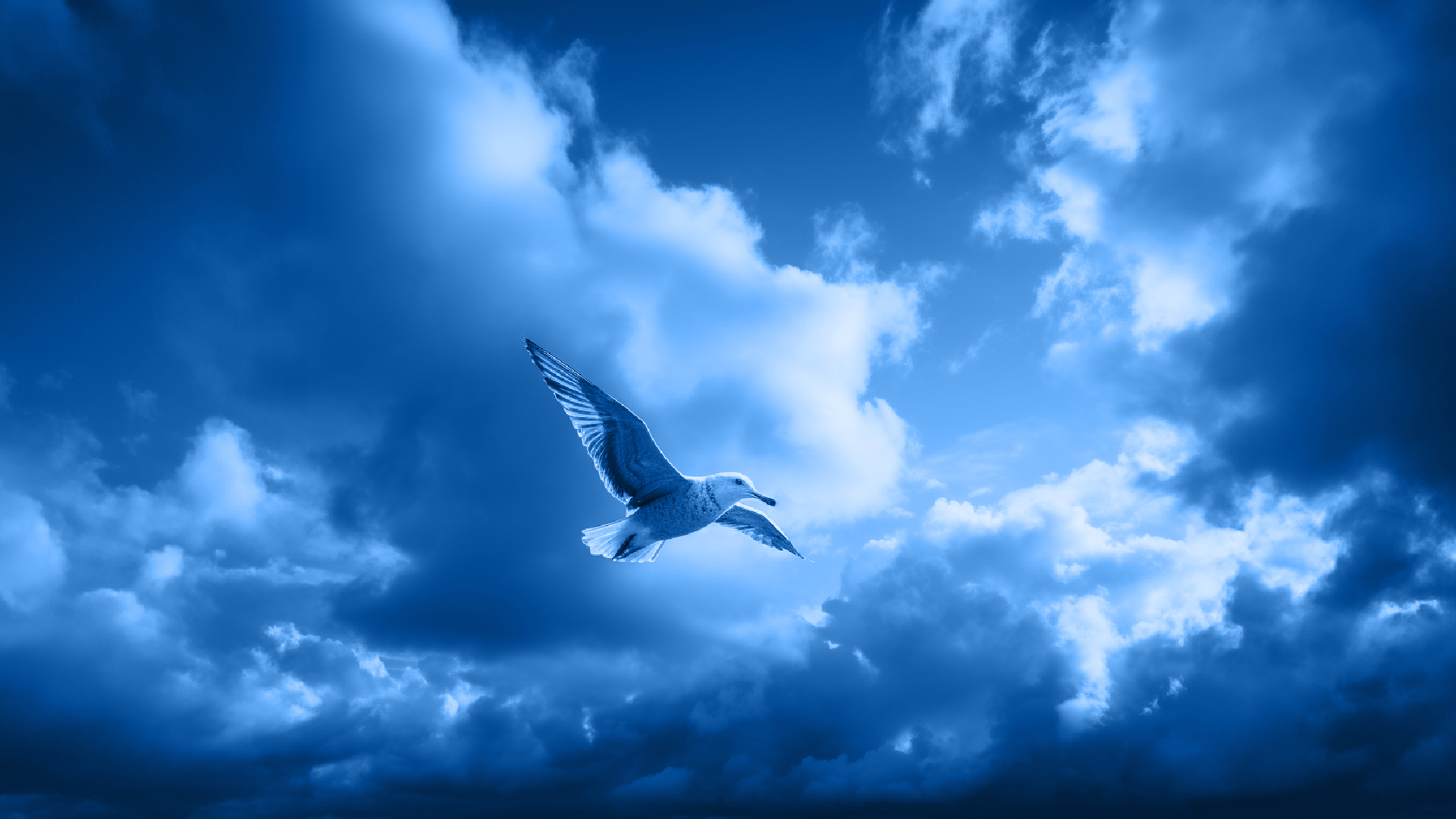 How to Get Started With Serverless Architecture