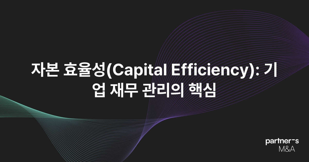 자본 효율성(Capital Efficiency): 기업 재무 관리의 핵심