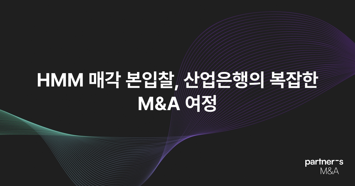 HMM 매각 본입찰, 산업은행의 복잡한 M&A 여정