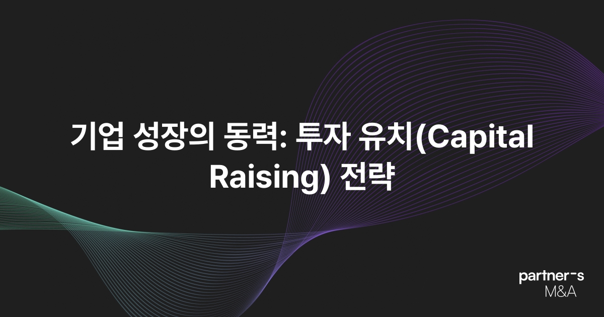 기업 성장의 동력: 투자 유치(Capital Raising) 전략
