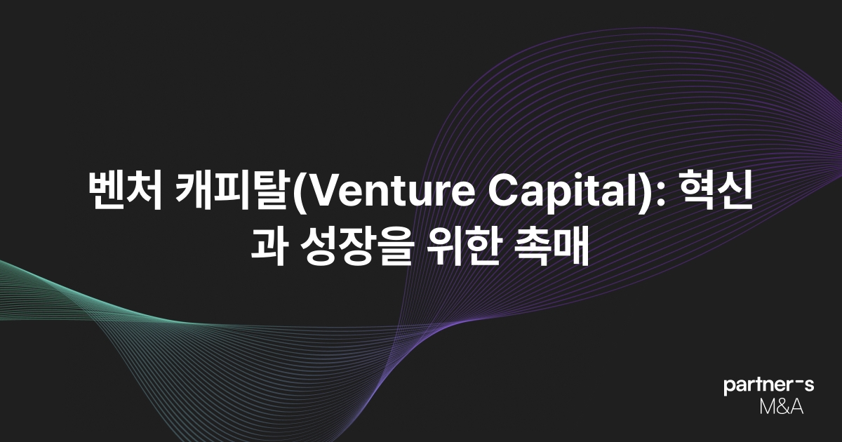 벤처 캐피탈(Venture Capital): 혁신과 성장을 위한 촉매