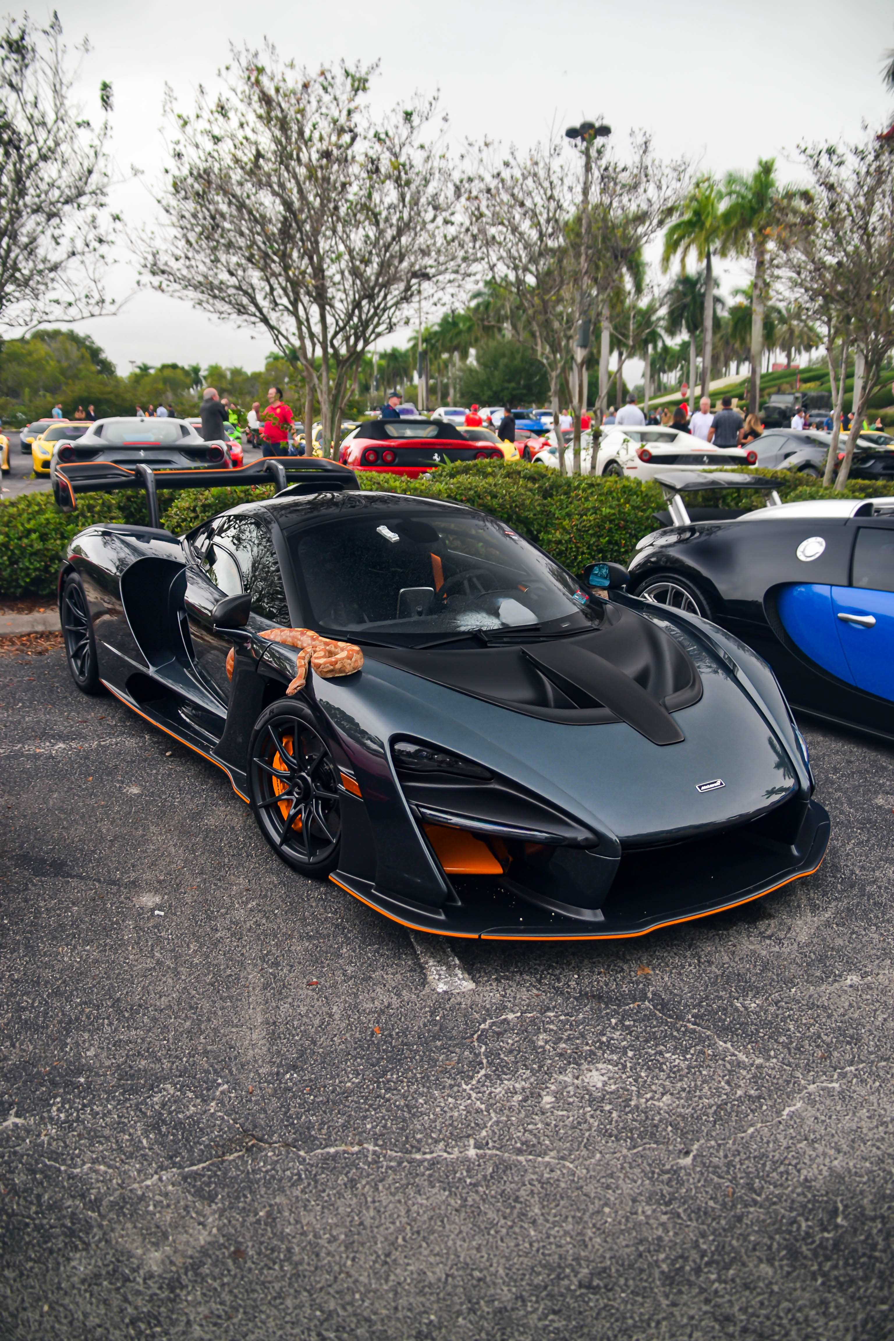 McLaren Senna