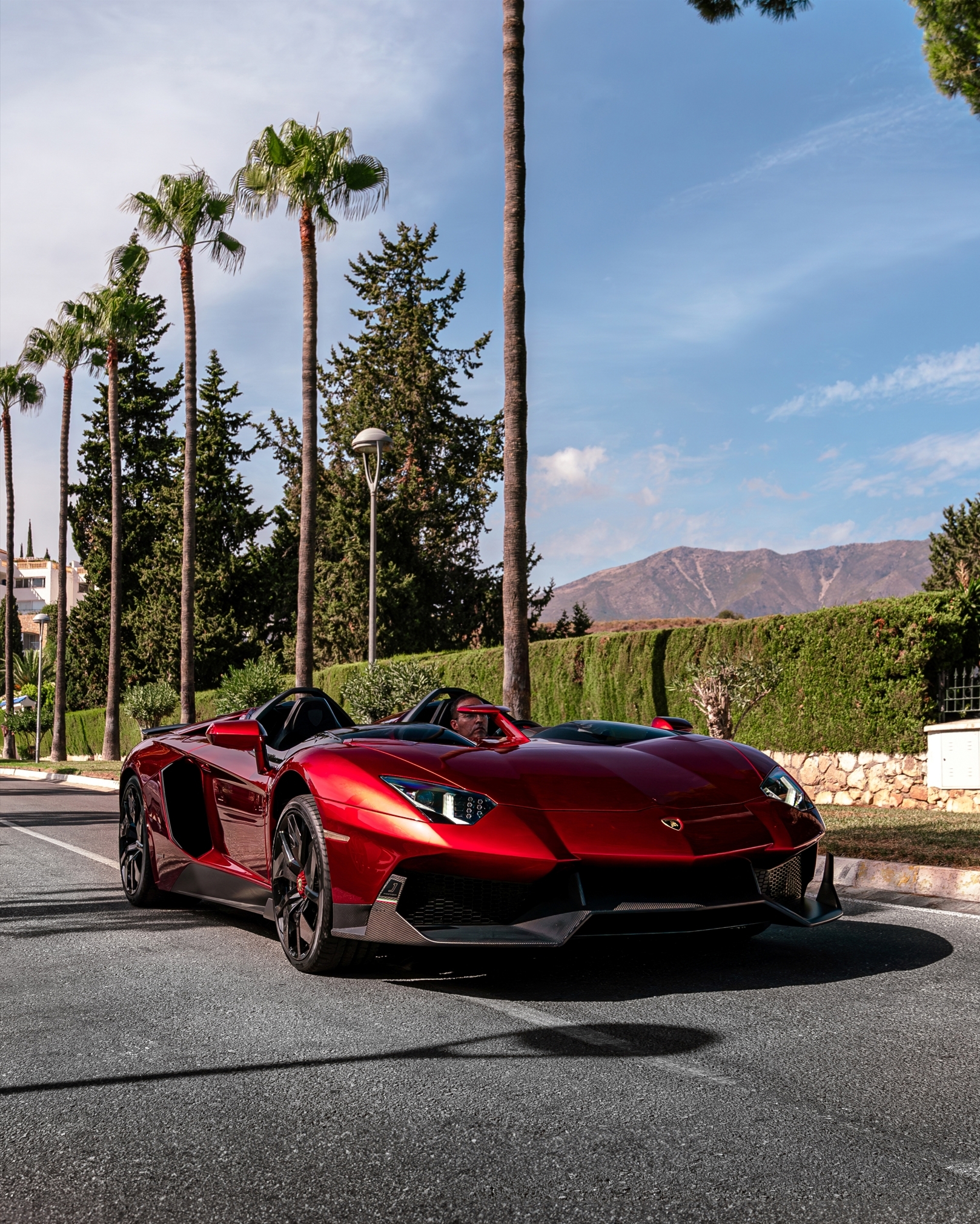 Lamborghini Aventador J