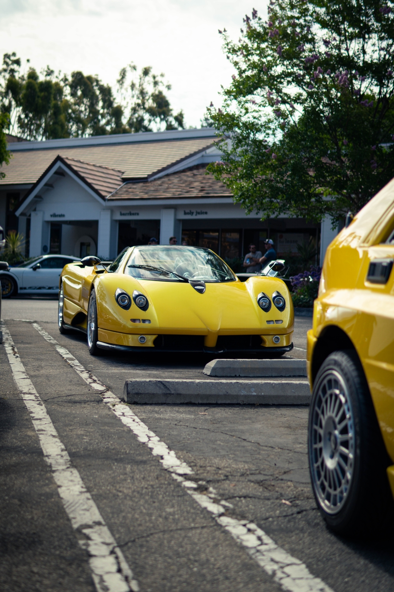 Pagani Zonda C12