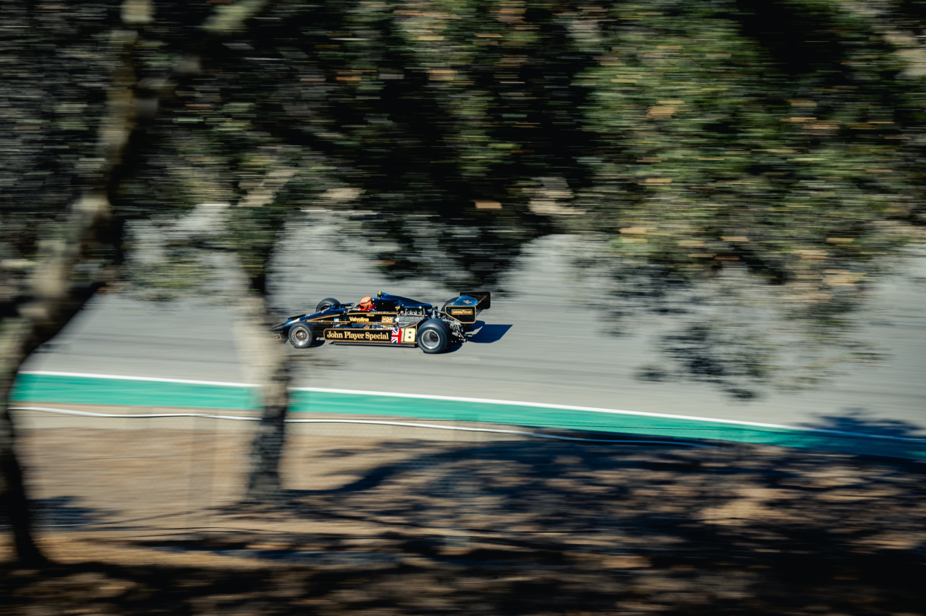Lotus F1