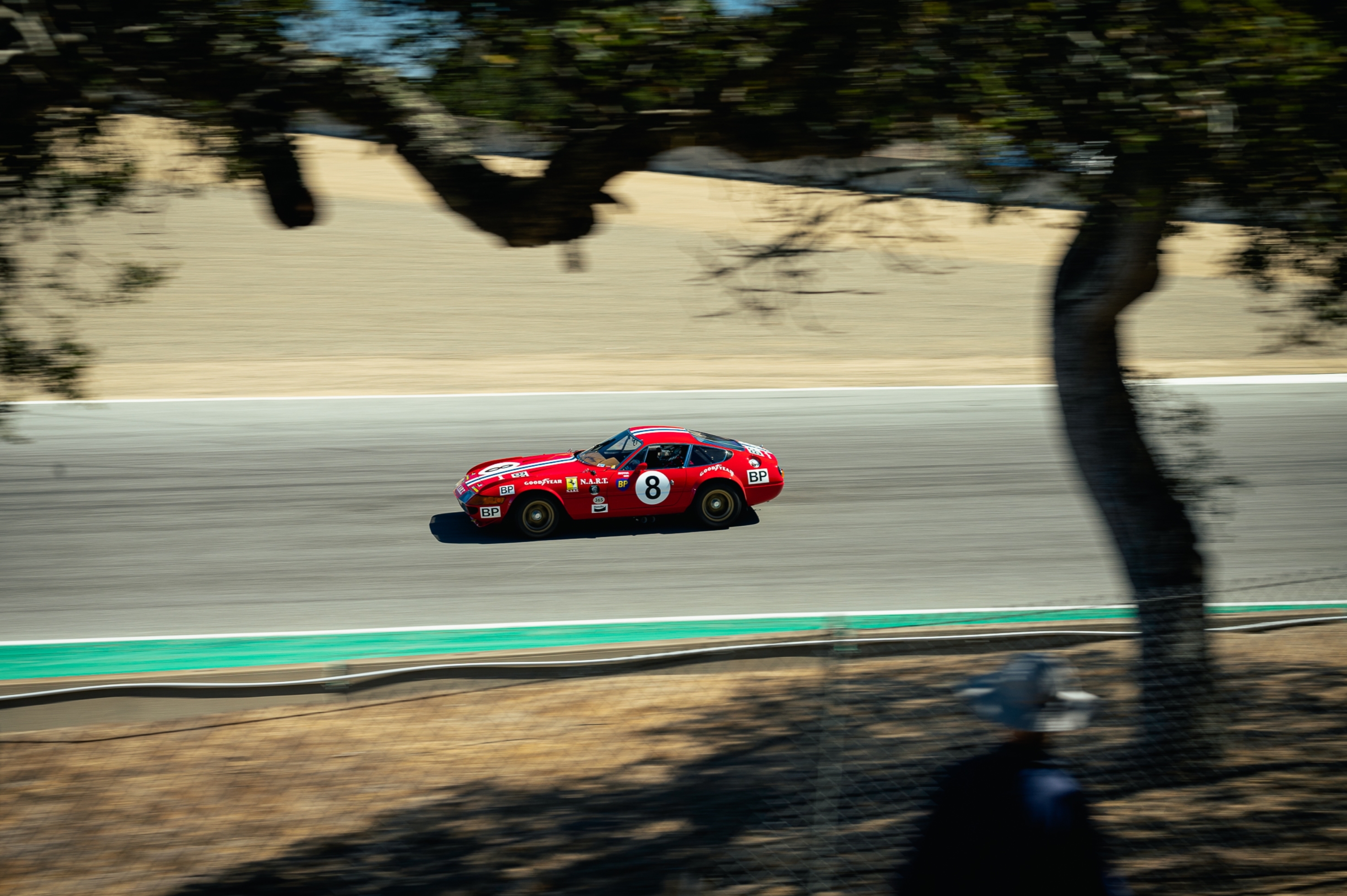 Ferrari 365 GTB/4 Daytona Competizione