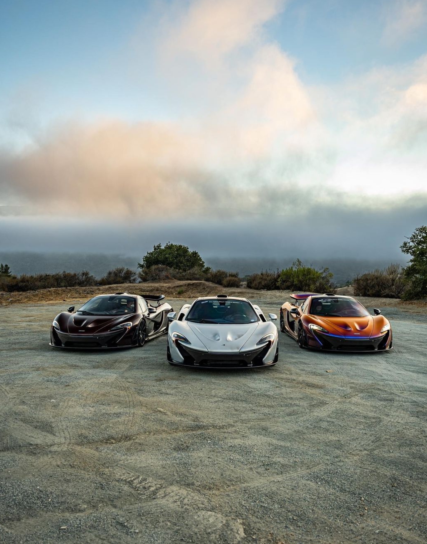 McLaren P1's
