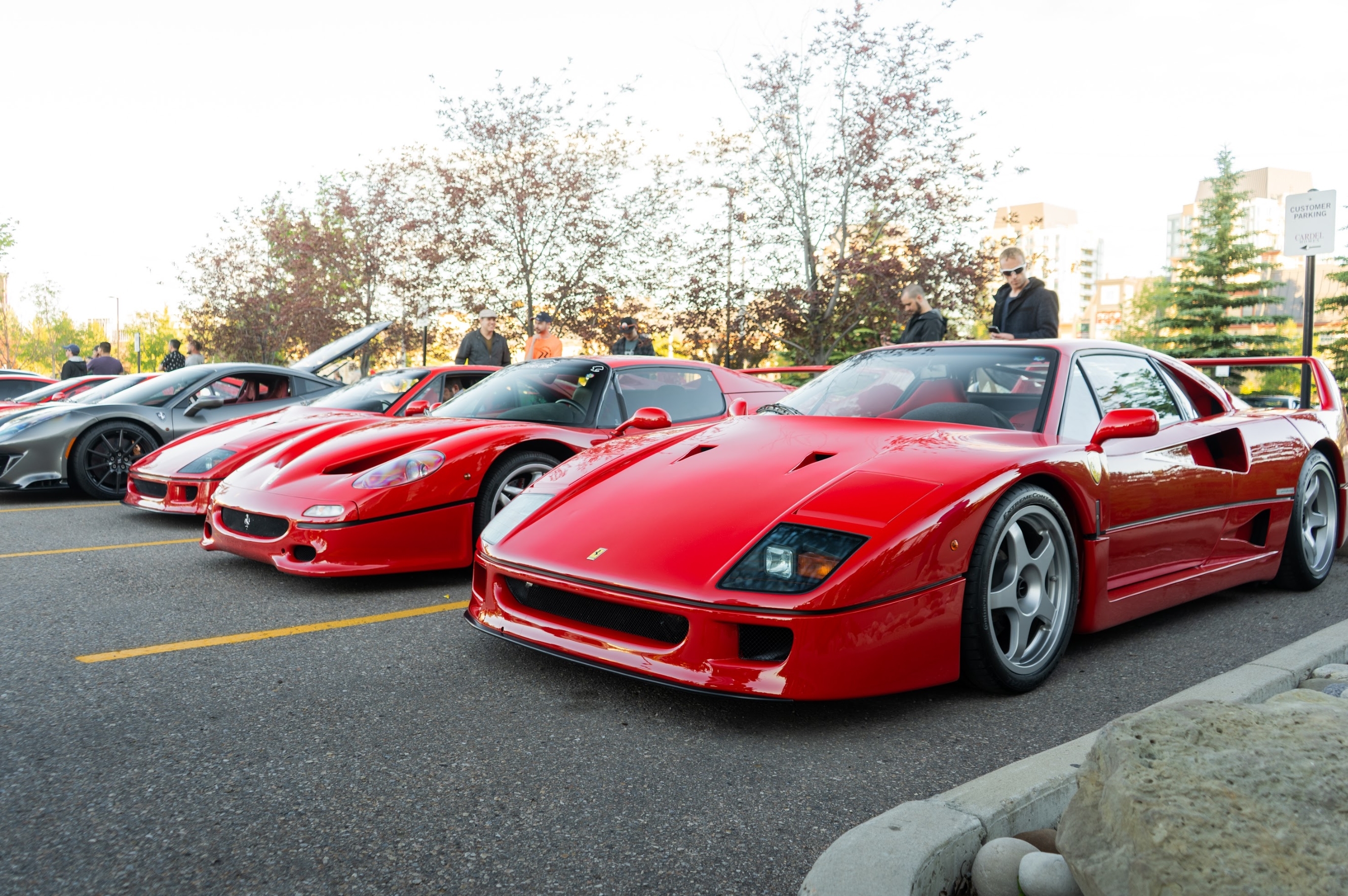 Ferrari F40 and F50