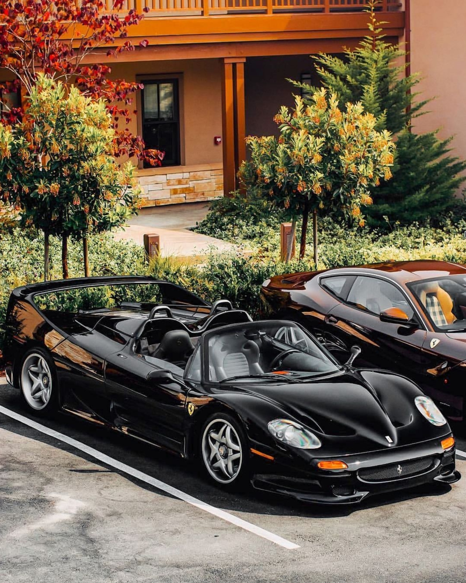 Ferrari F50