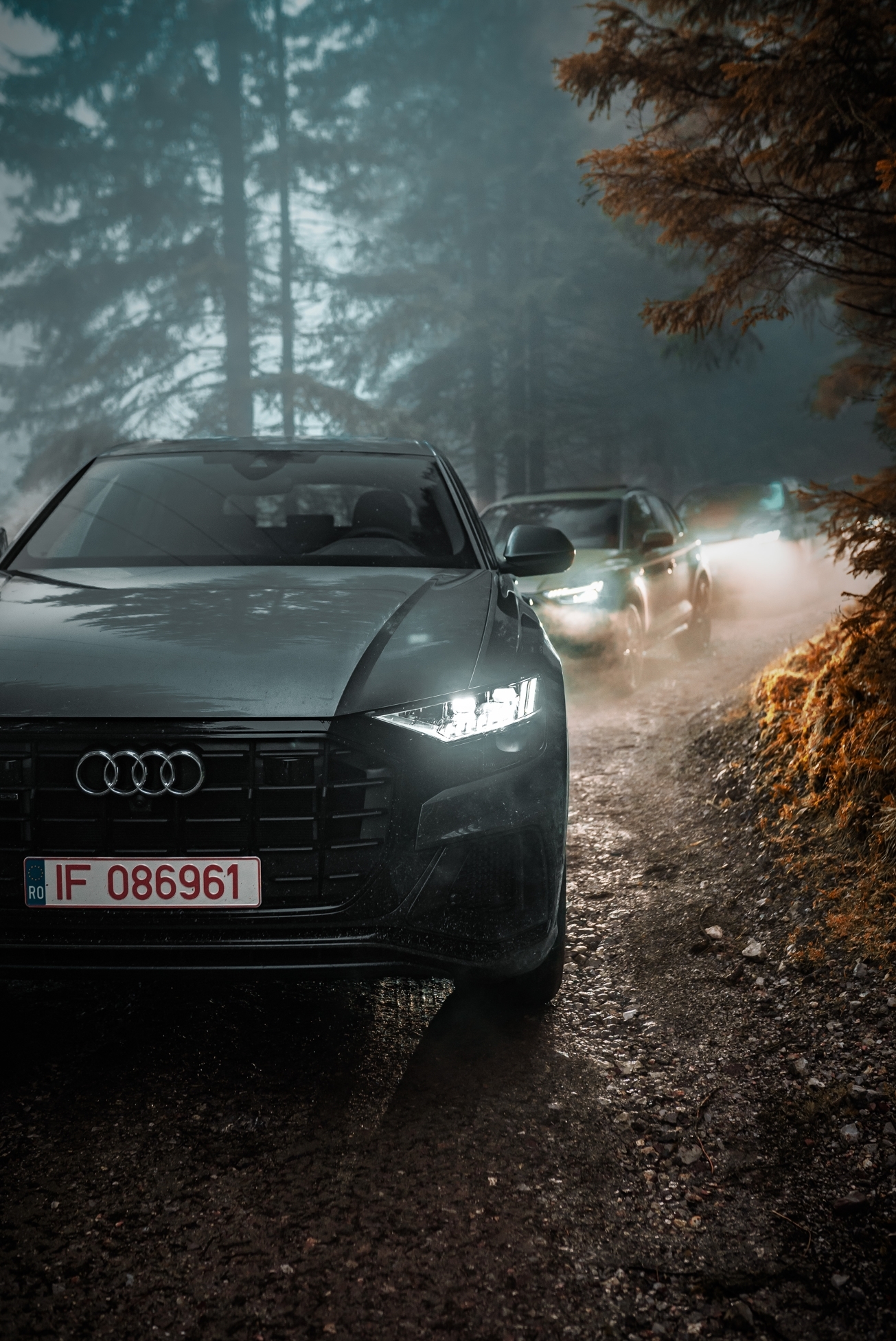 Audi's in Forest