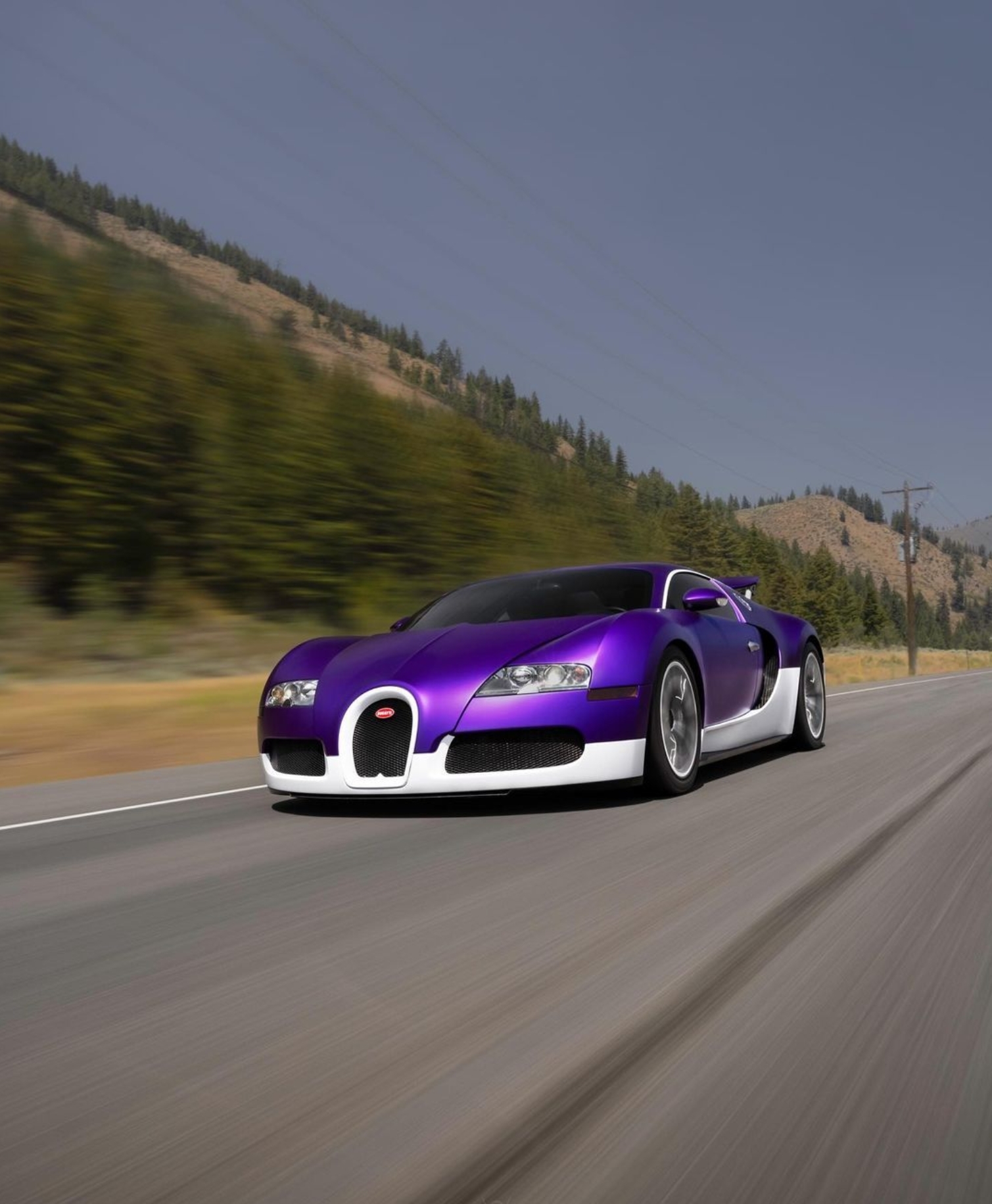 Stradman Bugatti Veyron