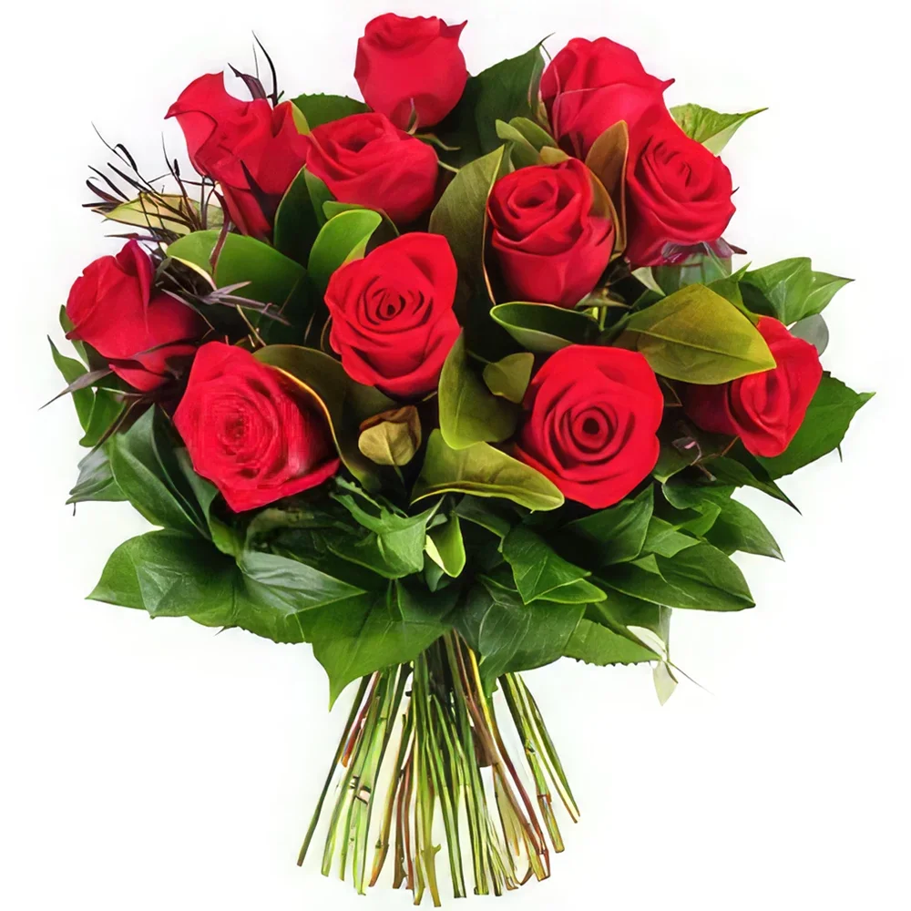 Ramo de 16 rosas