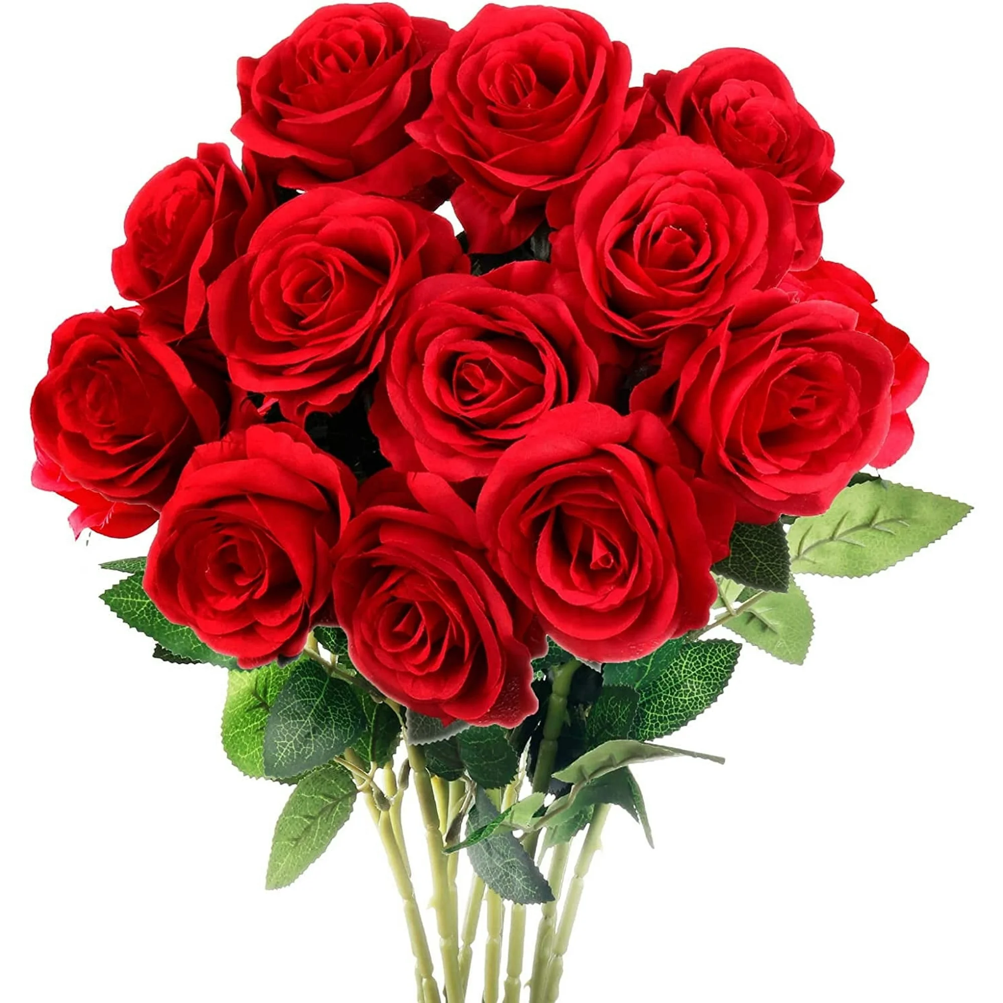 Rosas rojas