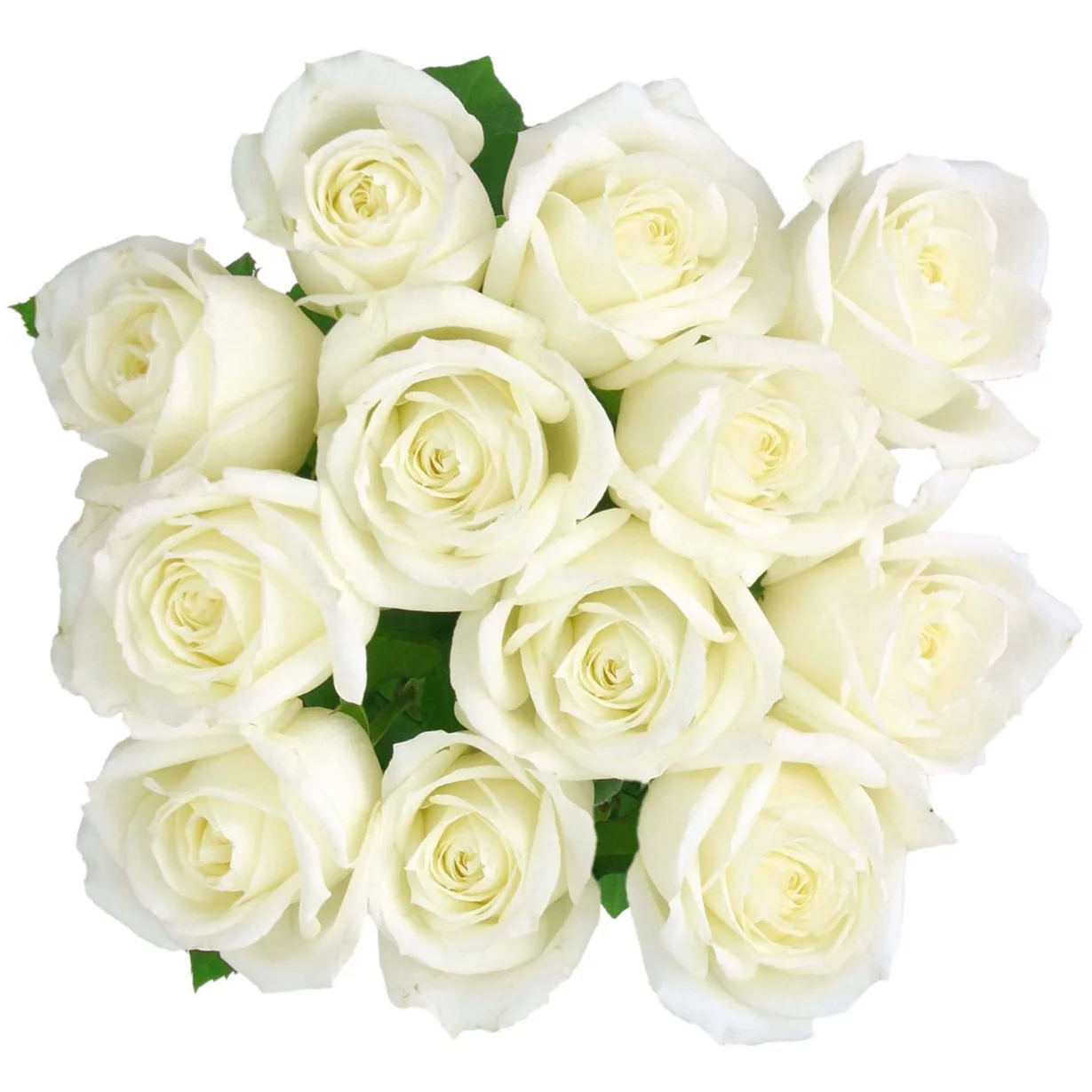 Ramo de flores de rosas