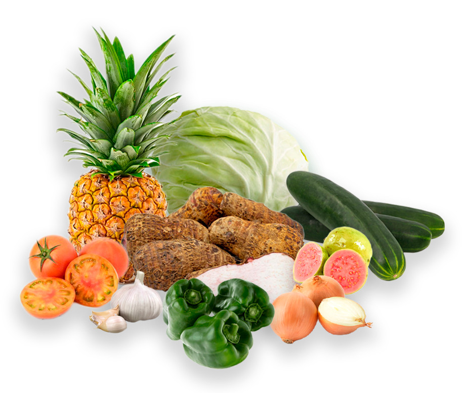 Combo Viandas y Frutas Mixto