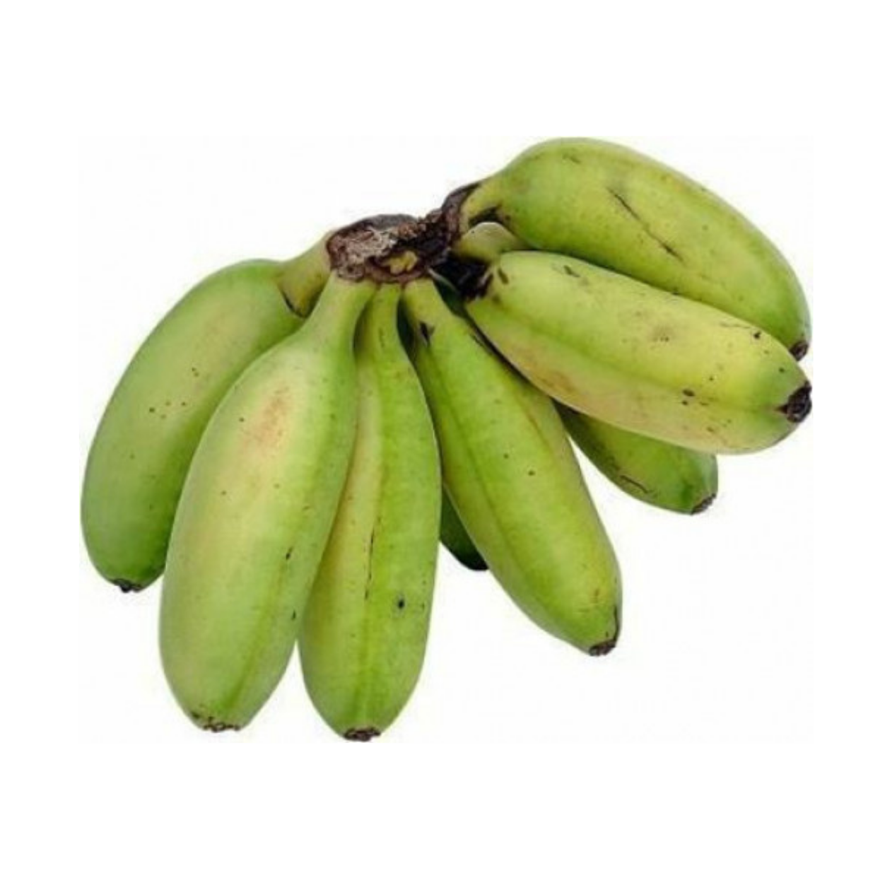 Plátano Burro