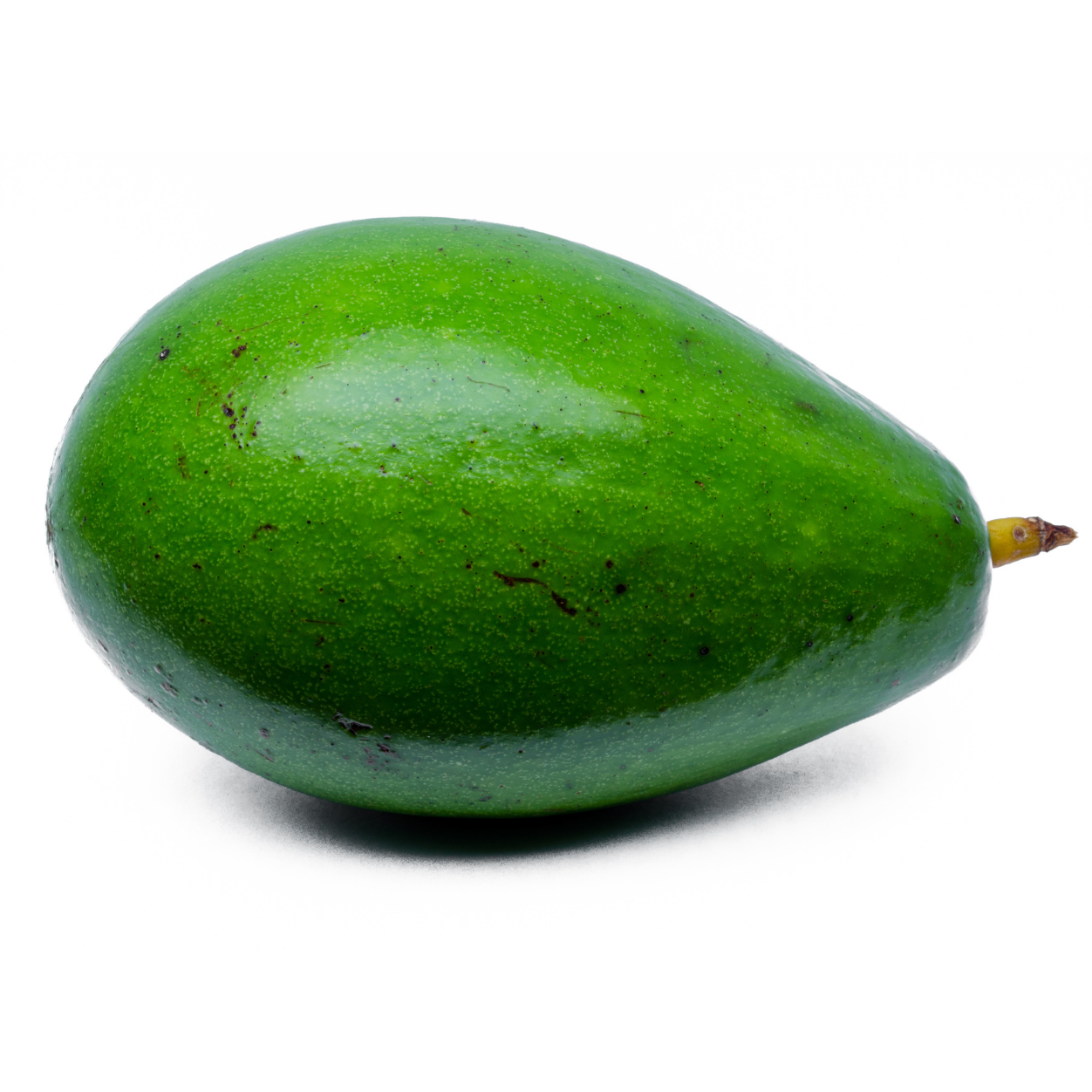 Aguacate 1 u