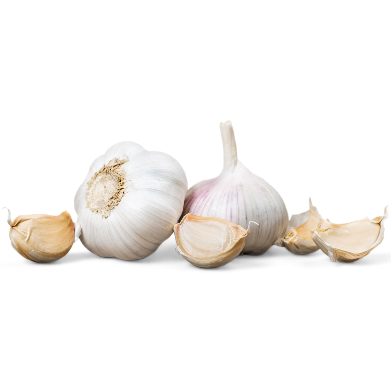 Ajo