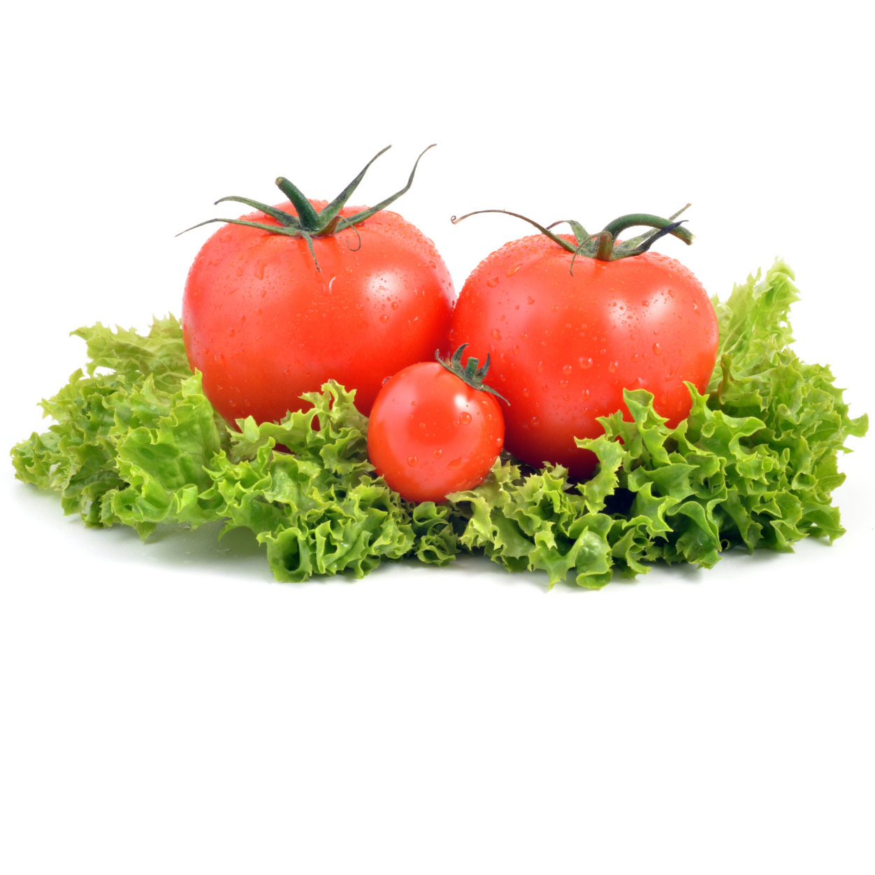 Tomate 1Lb
