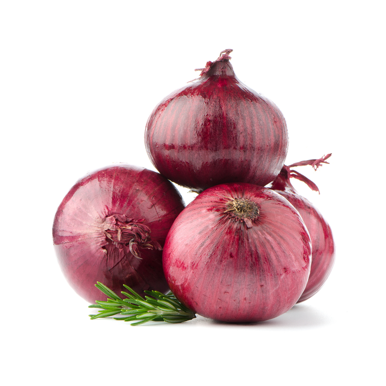Cebolla Morada