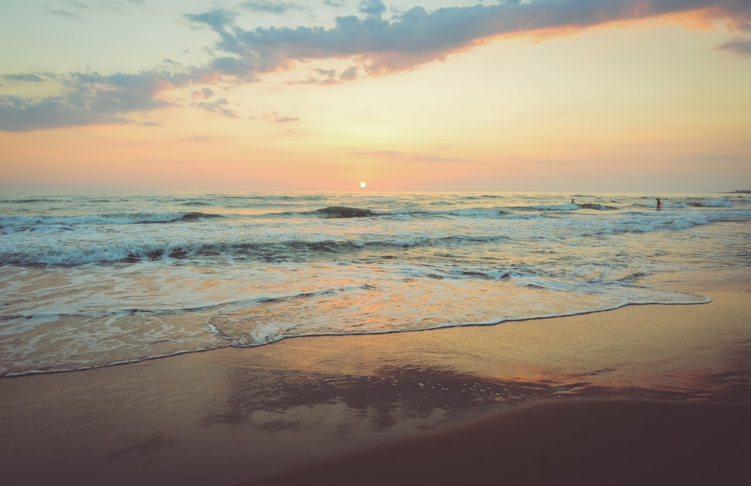 Featured image for Ocean-Themed Corporate Gifts: Your Design Guide