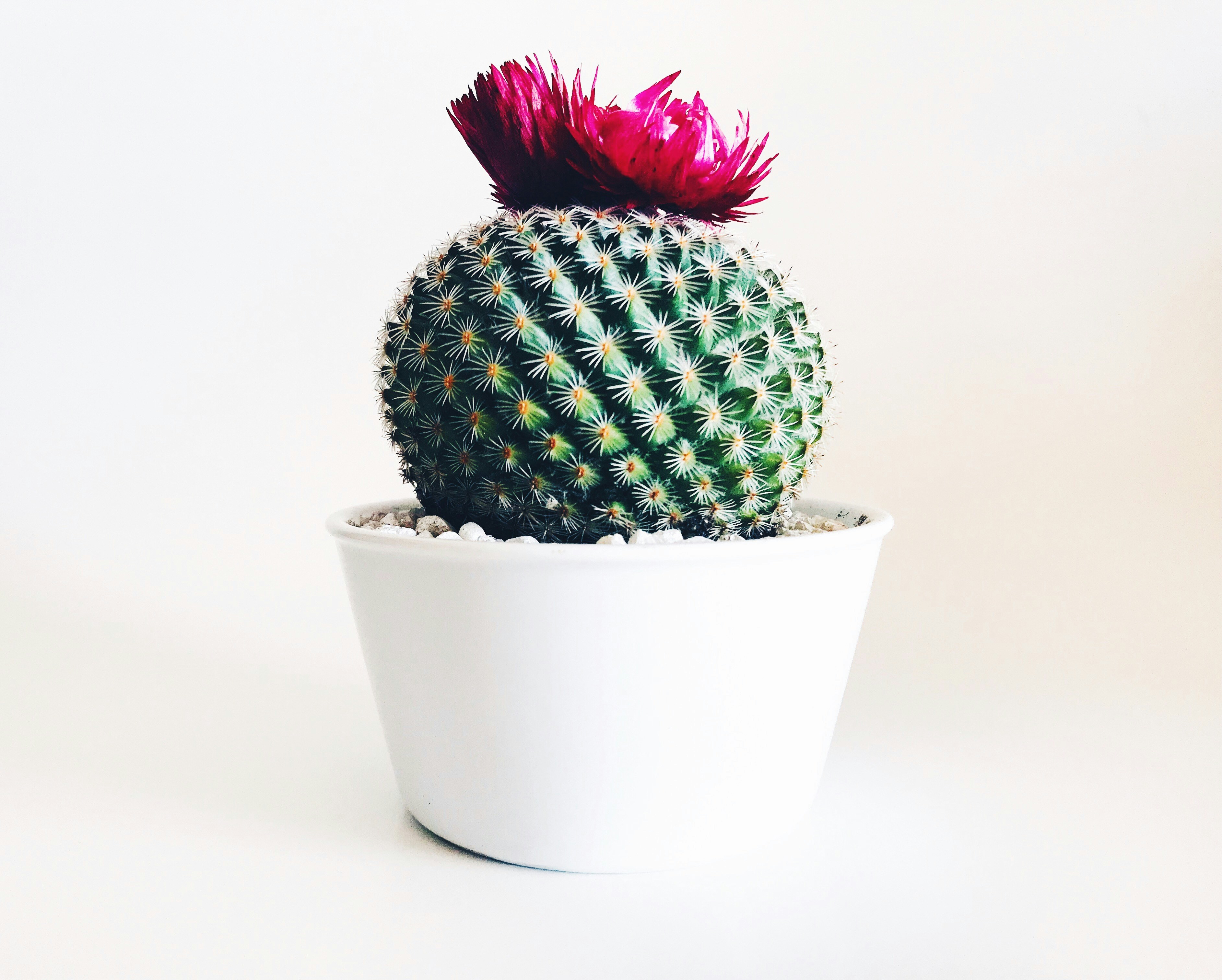 Featured image for 15 Unforgettable Presents Your Customers Will Love