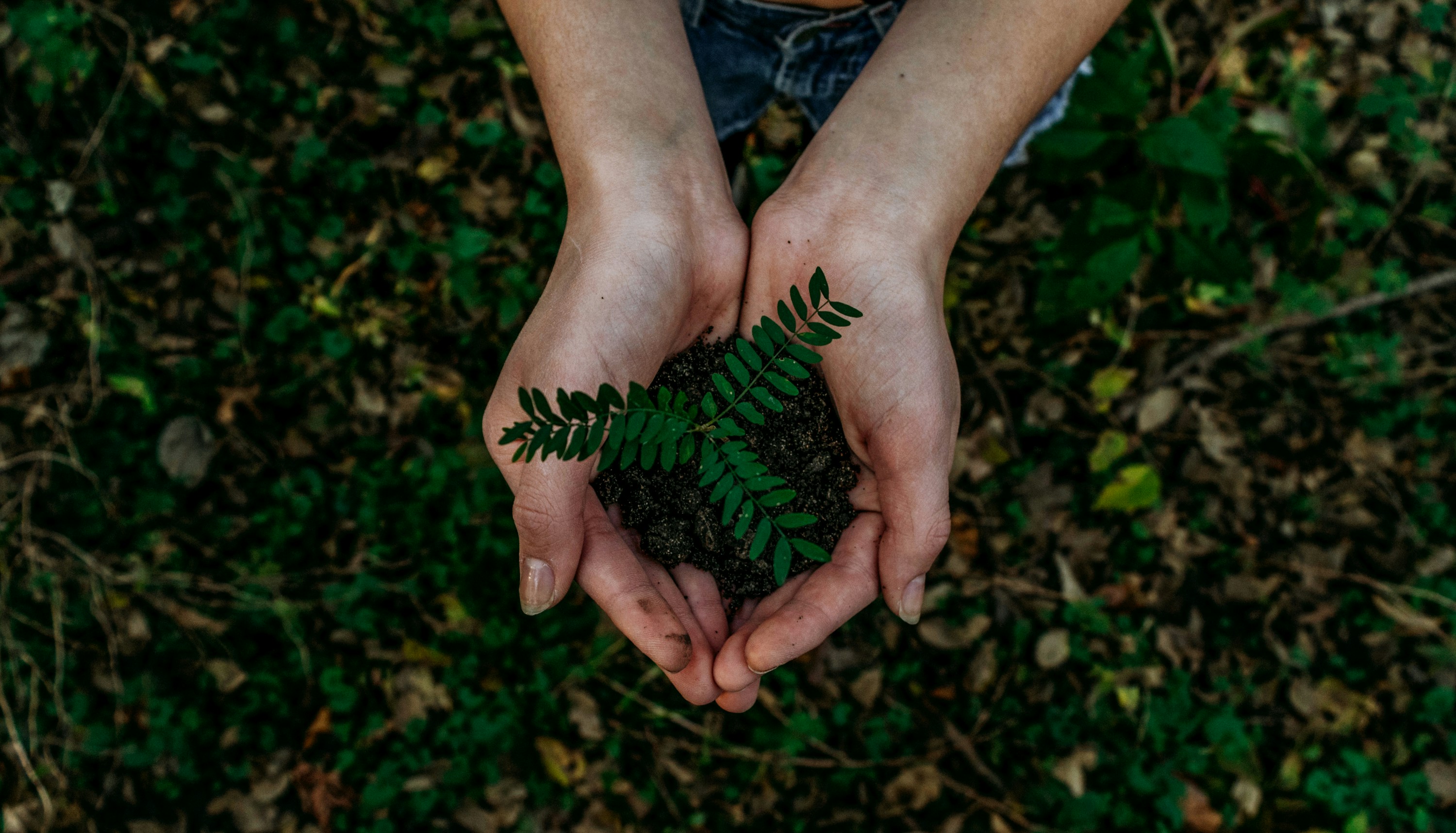 Featured image for Unique Earth Day Celebrations to Try in Your Workplace
