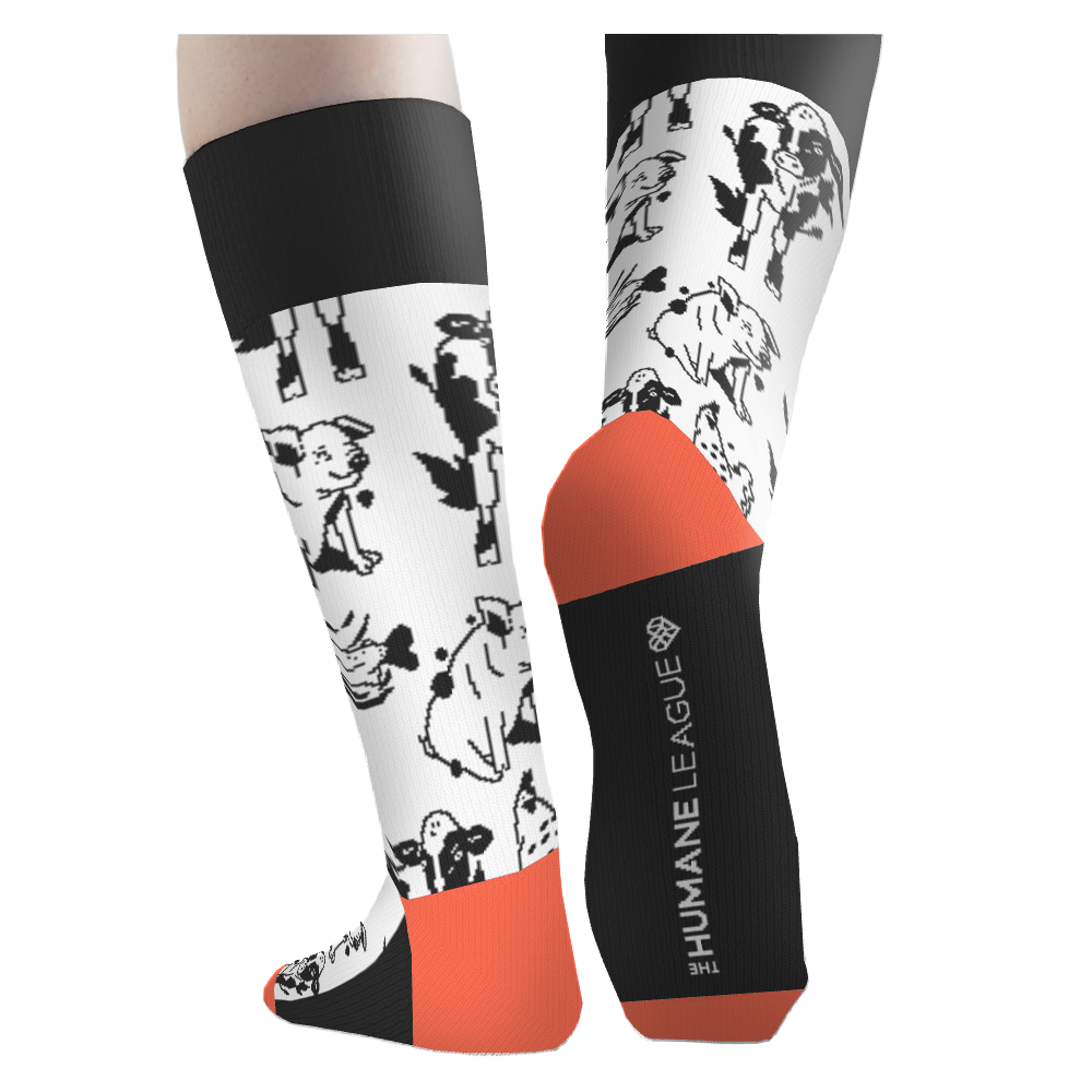 The Humane League socks 4